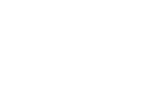 al_pappagallo_stampa_0009_bologna-today-copia